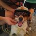 Wesley Lamberson - Facebook