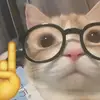 wesleylara752 - @wesleylara752 - TikTok