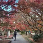 Wesley Leung - @leung.wesley - Instagram