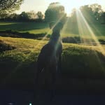 Wesley lockwood - @wesley.lockwood - Instagram