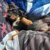 Wesley_Martinez - @wesley.martinez - TikTok