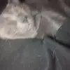 wesleymcbride401 - @wesleymcbride401 - TikTok