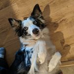 Wesley McCarter - @blazeindarkness - Instagram