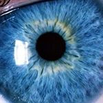 Wesley McCormick - @wesleymccormick18 - Instagram