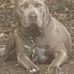 Wes McCrary - Facebook