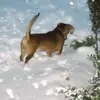 Georgia Wesley McManus - @joja12952 - TikTok
