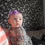 Wesley Mcmanus - @wesleymcmanus817 - Instagram