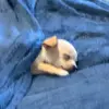 Wesley Meade - @wesley.meade2 - TikTok