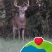Wesley Meade - Facebook