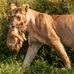 Wesley Mutai - Facebook