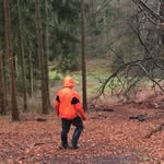 Wesley Mears - @wezmears - Instagram