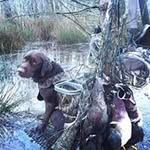 Wesley Meyer - @wessmeyer11 - Instagram