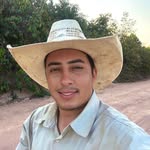 Wesley Milani - @millaniwesley - Instagram