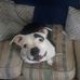 Wesley Morrison - Facebook