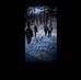 Wesley Morrison - Facebook