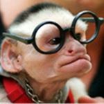 Wesley Morse - @paqratt - Instagram