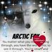 Wesley Morton - Facebook