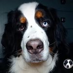Wesley Newton - @bigbeans619 - Instagram