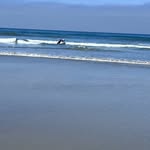 Wesley Newton - @wesley_newton_ - Instagram