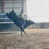 bullrider2472 - @wesleynickelsonbullrider - TikTok