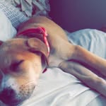Oakley wesley - @oakleywesley5 - Instagram