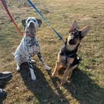 Wesley and Oakley Kish - @wesleyoakleykish - Instagram