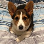 Wesley Olds - @the.maveran - Instagram