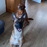 Ottens Dekker Wesley - @wesley_ottens - Instagram