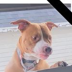 Wesley Perkins - @wesley.perkins.12327 - Instagram