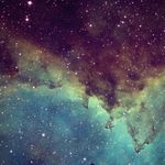 Wesley Peterson - @big_boi_wes_p - Instagram