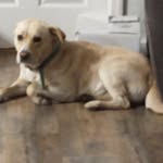 @wesley_petty10 - Instagram
