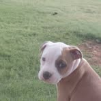 Wesley Phelps - Facebook