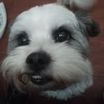 Wesley Pifer - @wesley.pifer - Instagram