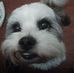 Wesley Pifer - Facebook