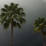 Wesley Pollock - @wesleypoloc - Instagram