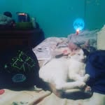 Wesley Pollock - @wesley.pollock.988 - Instagram