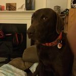 Wesley Pope - @popewesley - Instagram