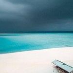 Asta Pedersen - @wesleyprescott_513892 - Instagram