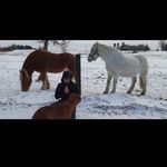 wesleyfell - @wesleyprescott181 - Instagram