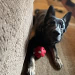 Wesley Priest - @wesleypriest - Instagram