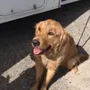 Wesley - @wesley.prince - TikTok