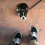 Wesley Randles - @wesleyrandles - Instagram