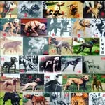Wesley Reames - @shr.ek2000 - Instagram