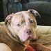 Wes Riddle - Facebook