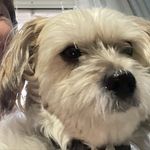 Wesley Errington - @wesleyerrington - Instagram