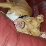 Wesley Rodgers - @wesleyrodgers849 - Instagram