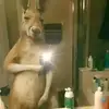 Wesley Rodriguez - @wesley.rodriguez659 - TikTok