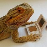 Wesley Rooney - @reptileman2009 - Instagram