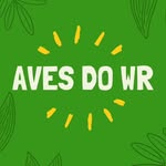 Wesley Rosa - @aves_do_wr - Instagram
