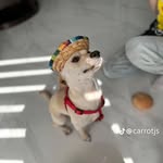 wesley - @wesleysamson62 - Instagram